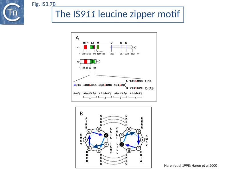 File:Fig. IS3.7B.png