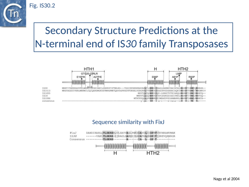 File:FIg. IS30.2.png