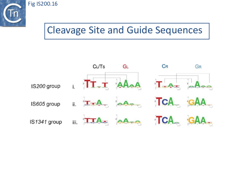 File:FigIS200 605 16.png
