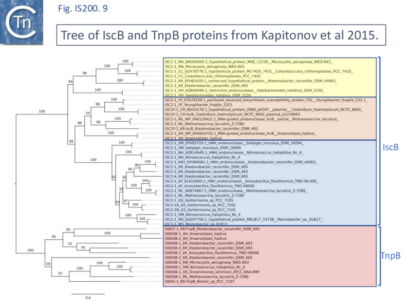 File:FigIS200 605 9.png