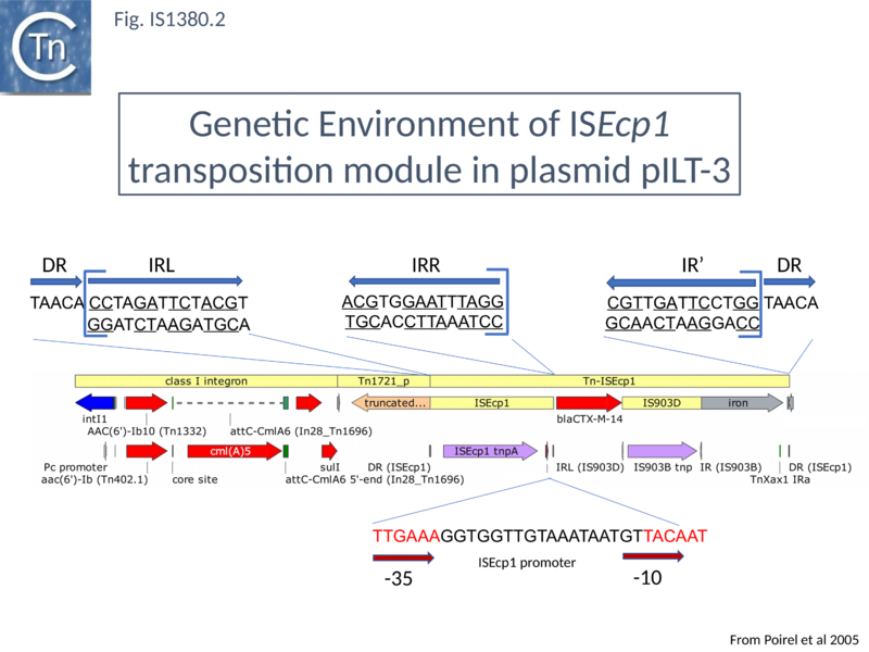 File:Fig. IS1380.2.png