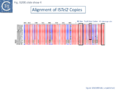 Fig. IS200.slide show 4. Alignment of ISTel2 Copies