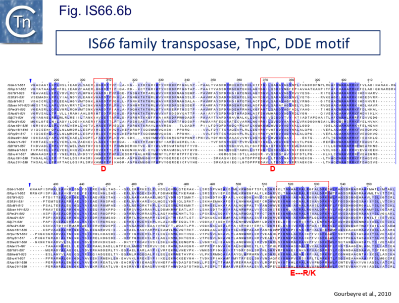 File:Fig IS66.6B.png