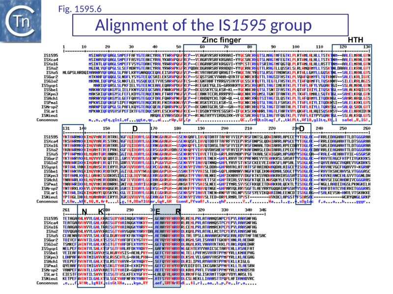 File:Fig. IS1595.6.png