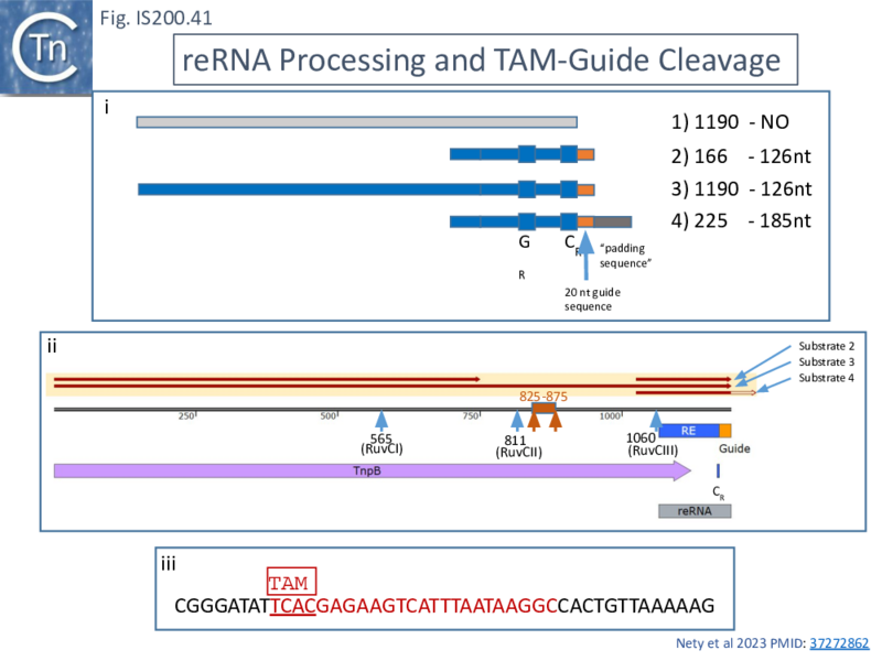 File:FigIS200 605 41.png