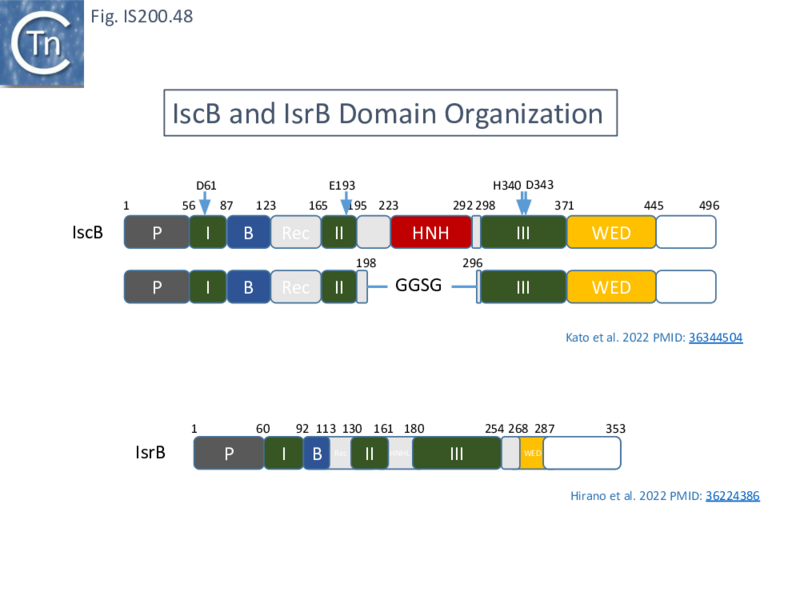 File:FigIS200 605 48.png