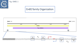 IS481-fig1.png