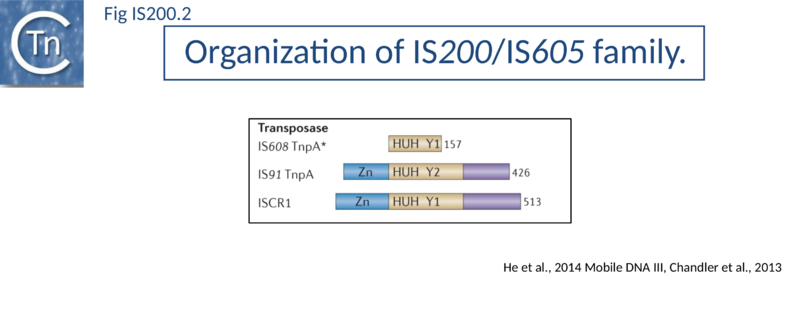 File:Fig. IS200.2.png