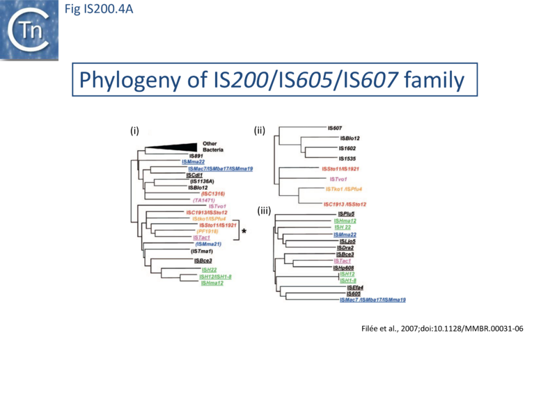 File:FigIS200 605 4A.png