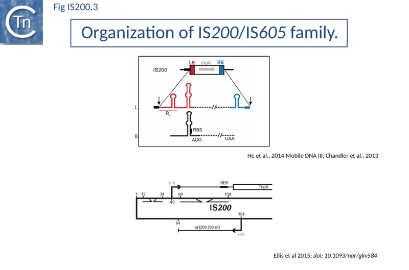 File:Fig. IS200.3.png