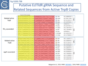 FigIS200 605 79B.png