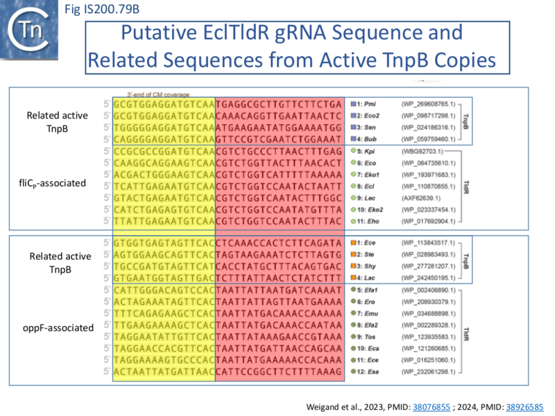 File:FigIS200 605 79B.png