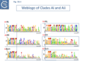 Fig. IS6.4. Clade Ai and Aii left (IRL) and right IRR and a combined IRL+IRR inverted terminal repeats for each clade are shown in WebLogo format (Crooks et al., 2004). The last slide shows an alignment of the ends of clade Aiv adjusted by hand