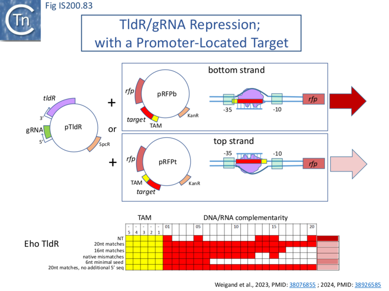 File:FigIS200 605 83.png