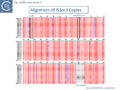 Fig. IS200.slide show 3. Alignment of ISSoc3 Copies