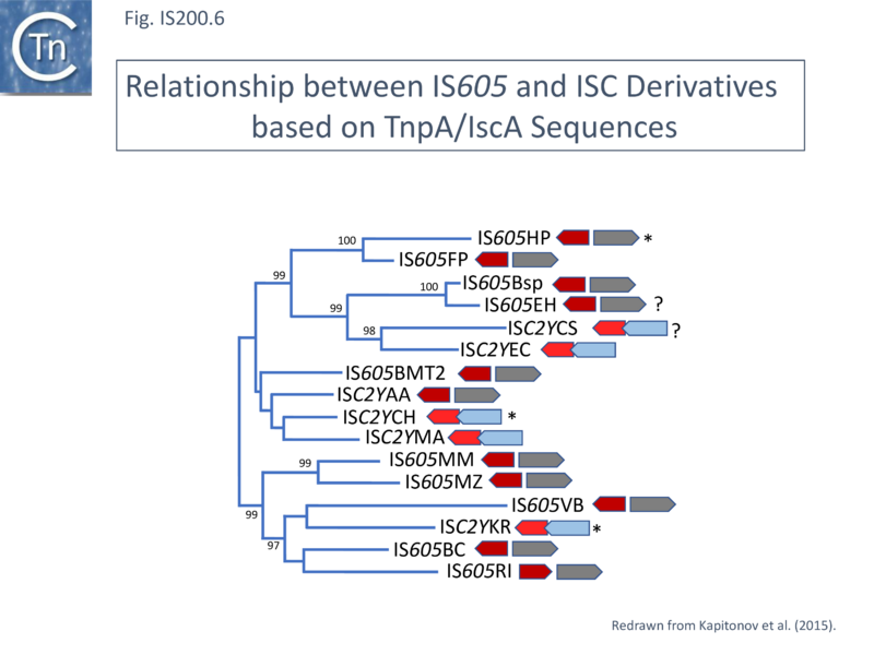 File:FigIS200 605 6.png