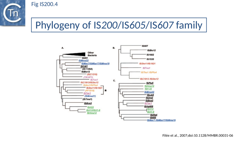 File:Fig. IS200.4.png