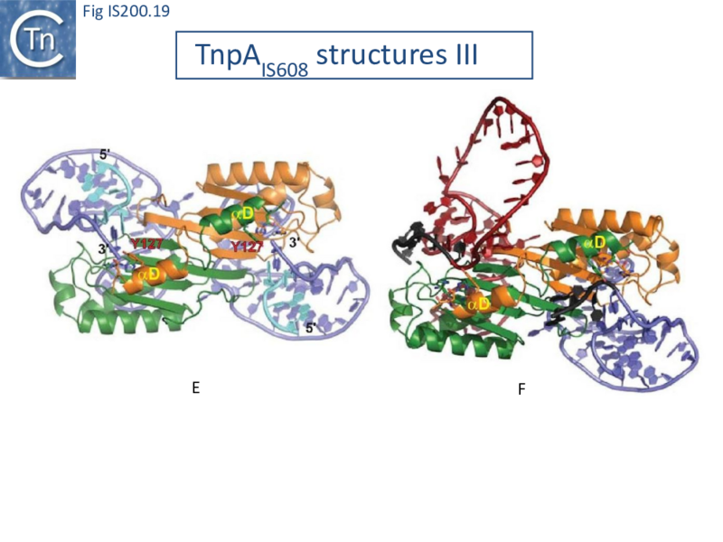 File:FigIS200 605 19.png