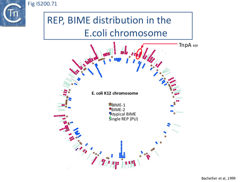File:FigIS200 605 71.png