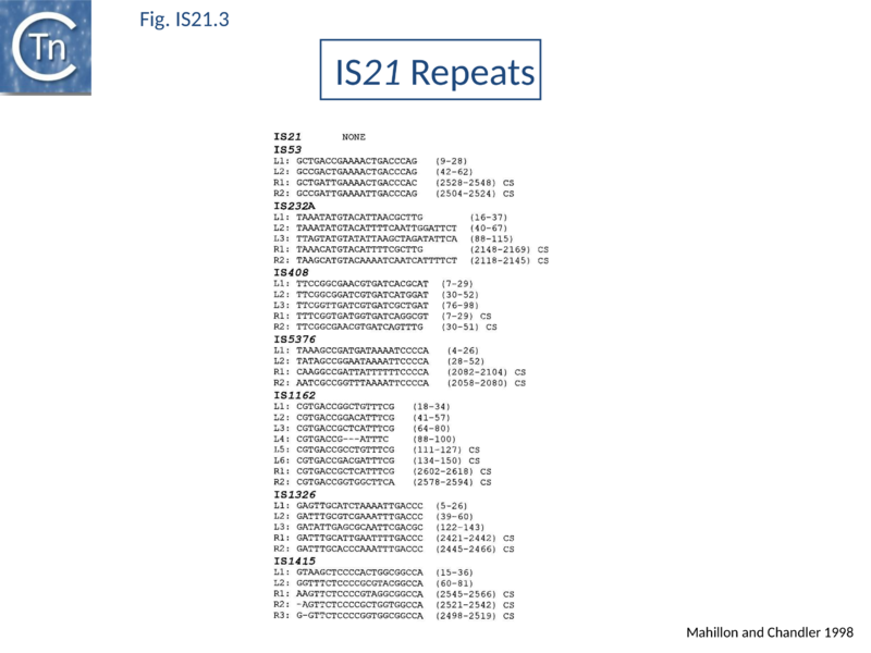 File:Fig. IS21.3.png