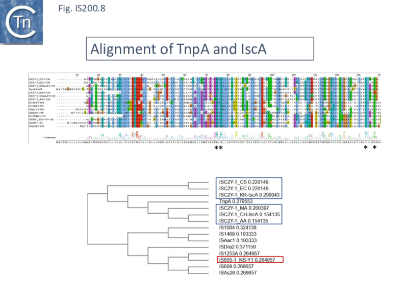 File:FigIS200 605 8.png