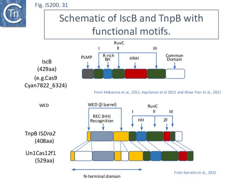 File:FigIS200 605 31.png