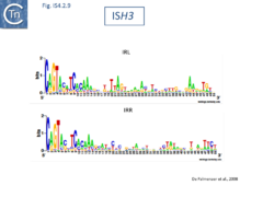 Fig. IS4.2.9. The ISH3.