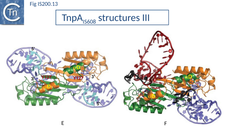 File:Fig. IS200.13.png