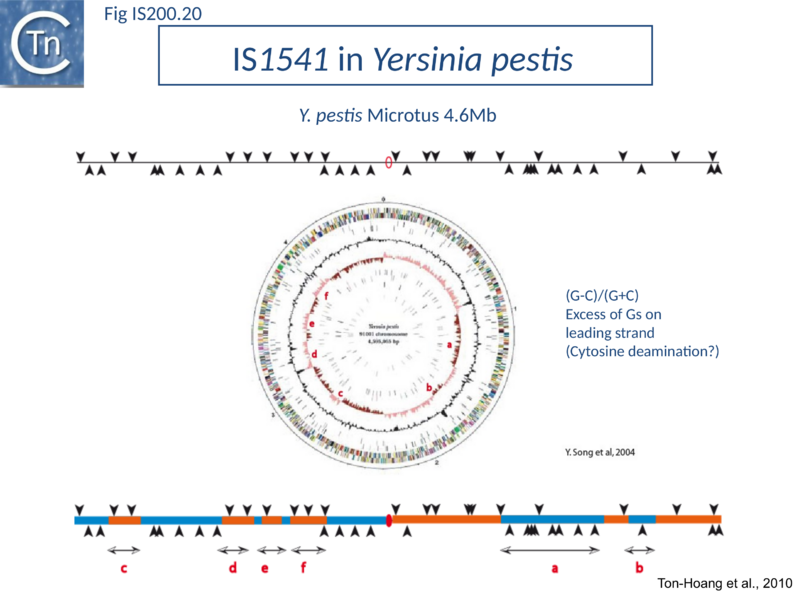 File:Fig. IS200.20.png