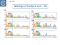 Fig. IS6.4. Clades b and c left (IRL) and right IRR and a combined IRL+IRR inverted terminal repeats for each clade are shown in WebLogo format (Crooks et al., 2004). The last slide shows an alignment of the ends of clade Aiv adjusted by hand