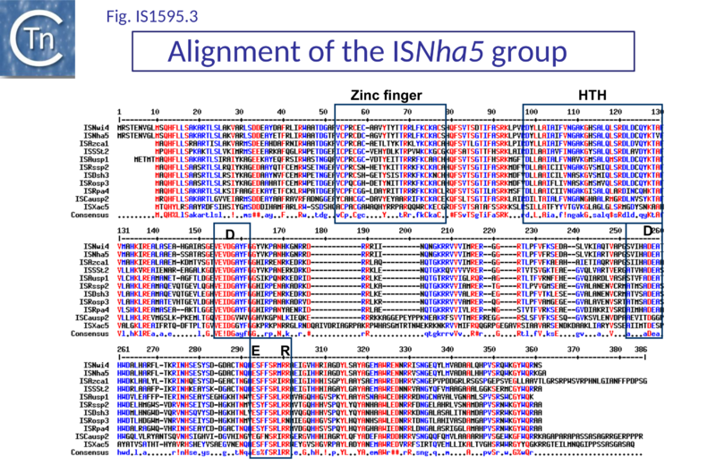 File:Fig. IS1595.3.png