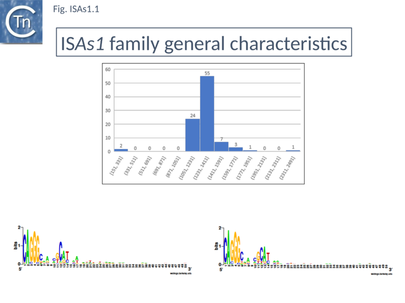 File:Fig. ISAs1.1.png