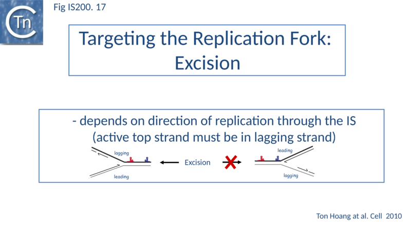 File:Fig. IS200.17.png