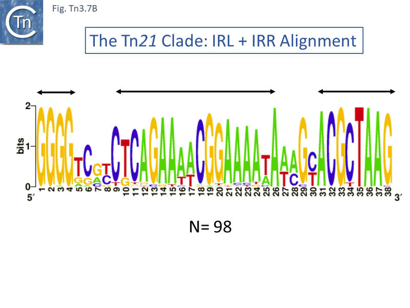 File:Fig.Tn3.7B.PNG