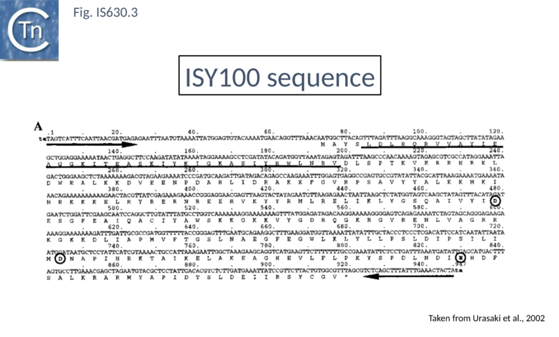 File:Fig. IS630.3.png