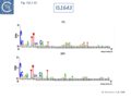 Fig. IS4.2.10. The IS1643. The left (IRL) and right IRR inverted terminal repeats are shown in WebLogo format (Crooks et al., 2004). Figure adapted from Palmenaer et al. 2008.