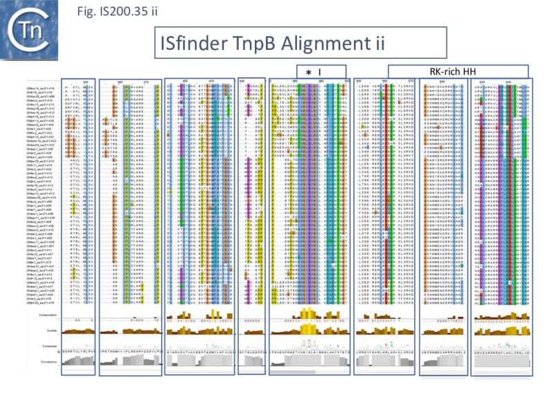 File:FigIS200 605 35ii.png