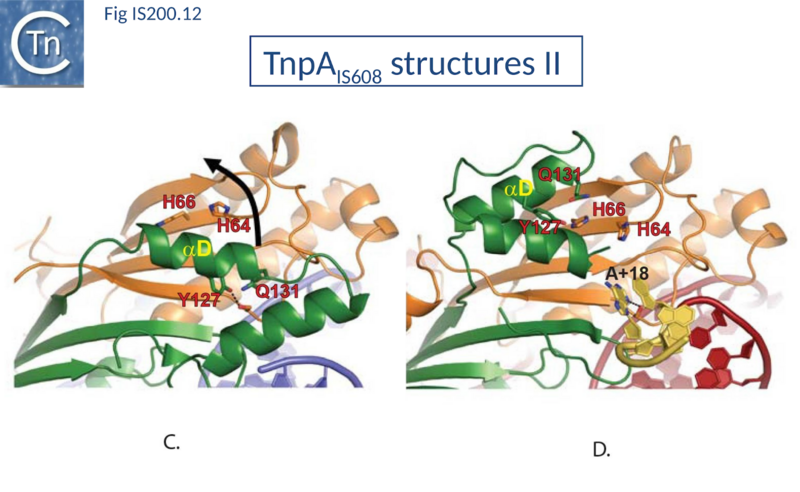 File:Fig. IS200.12.png