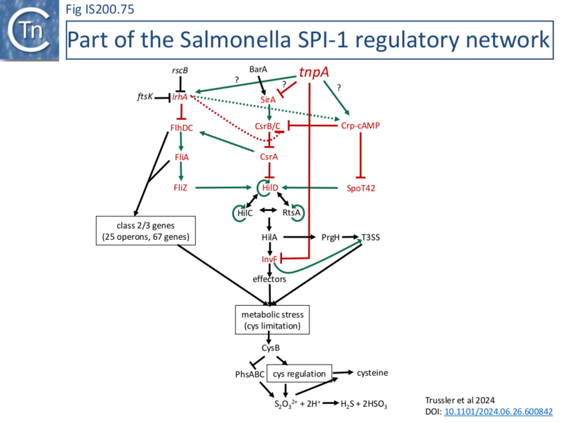 File:FigIS200 605 75.png