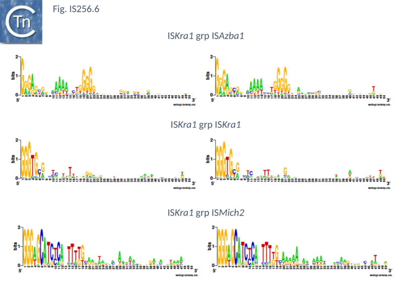 File:Fig. IS256.6.png