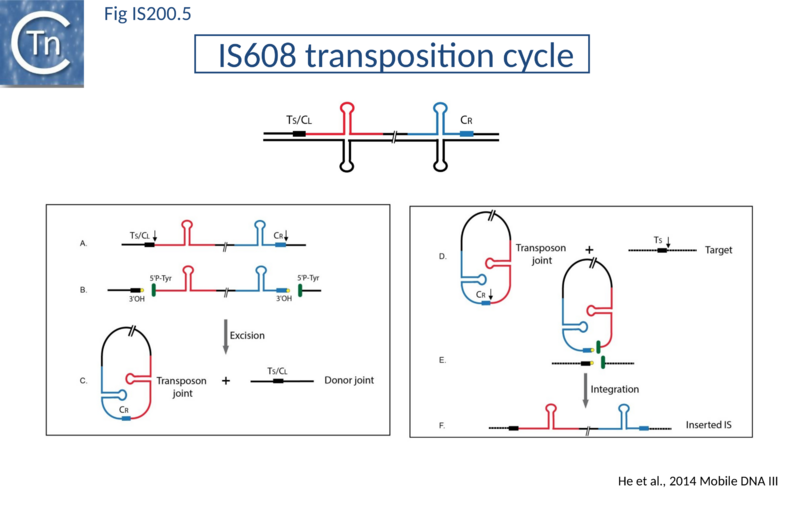 File:Fig. IS200.5.png