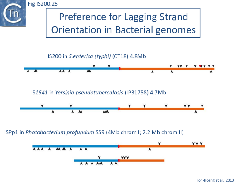 File:FigIS200 605 25.png