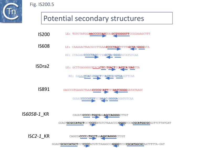 File:FigIS200 605 5.png