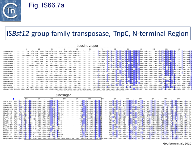 File:Fig IS66.7A.png
