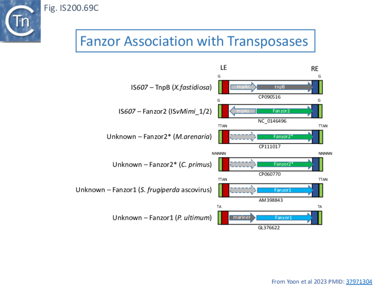 File:FigIS200 605 69C.png