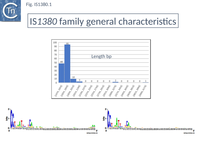 File:Fig. IS1380.1.png