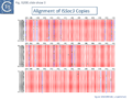 Fig. IS200.slide show 3. Alignment of ISSoc3 Copies