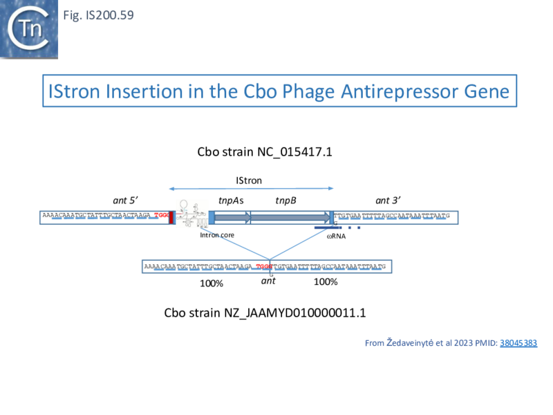 File:FigIS200 605 59.png