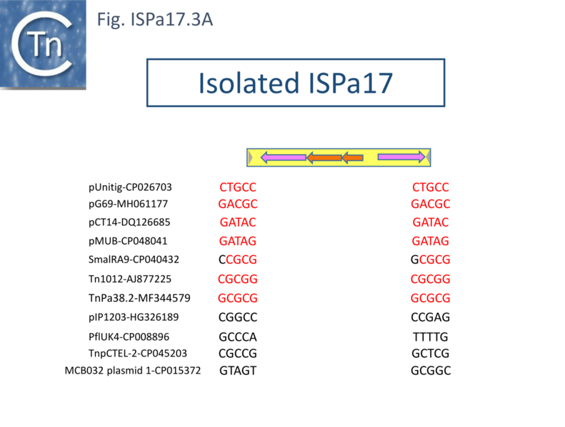 File:ISPa17-fig3A.png