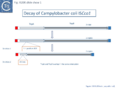 Fig. IS200.slide show 1. Decay of Campylobacter coli ISCco1